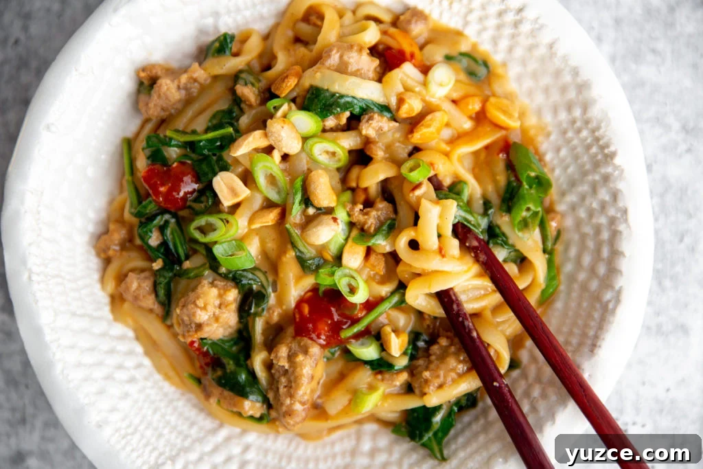 Spicy Peanut Pork Noodles (Gluten-Free, Ready in Minutes) 13 Close-up of Asian pork noodles with peanut sauce.