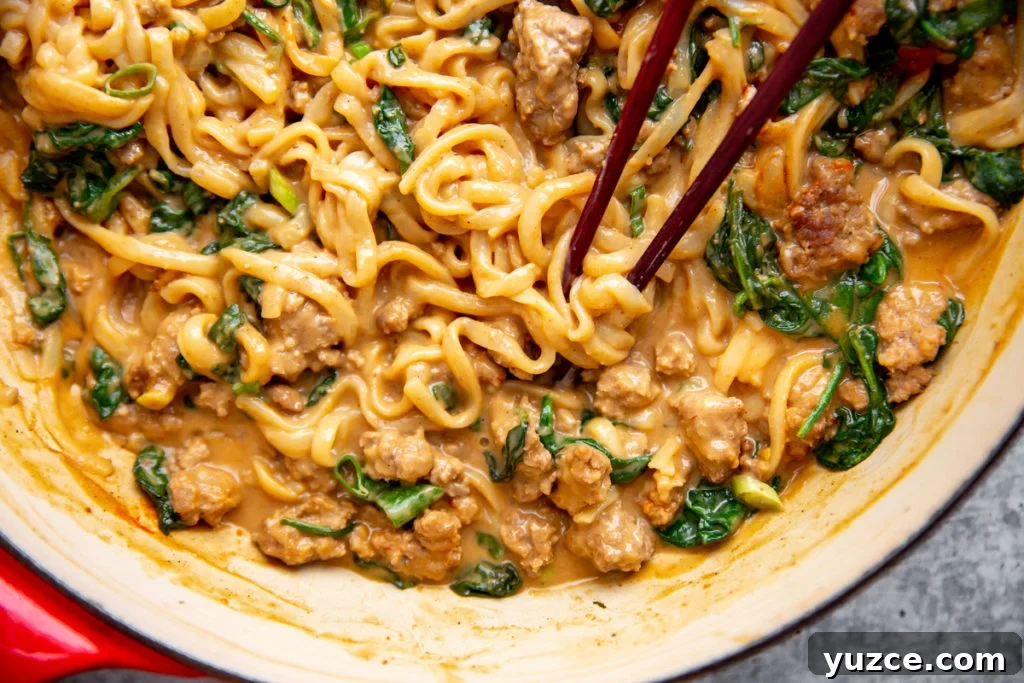 Spicy Peanut Pork Noodles (Gluten-Free, Ready in Minutes) 3 Close up of peanut pork noodles in a pan.