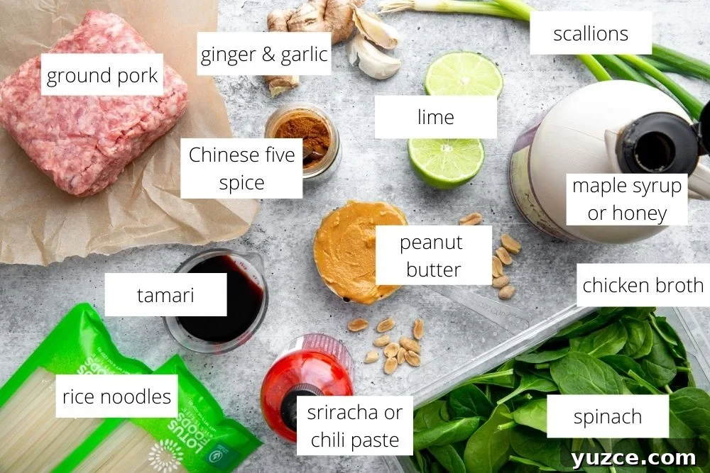 Spicy Peanut Pork Noodles (Gluten-Free, Ready in Minutes) 4 All of the ingredients for the peanut pork noodles recipe arranged on a surface with labels.