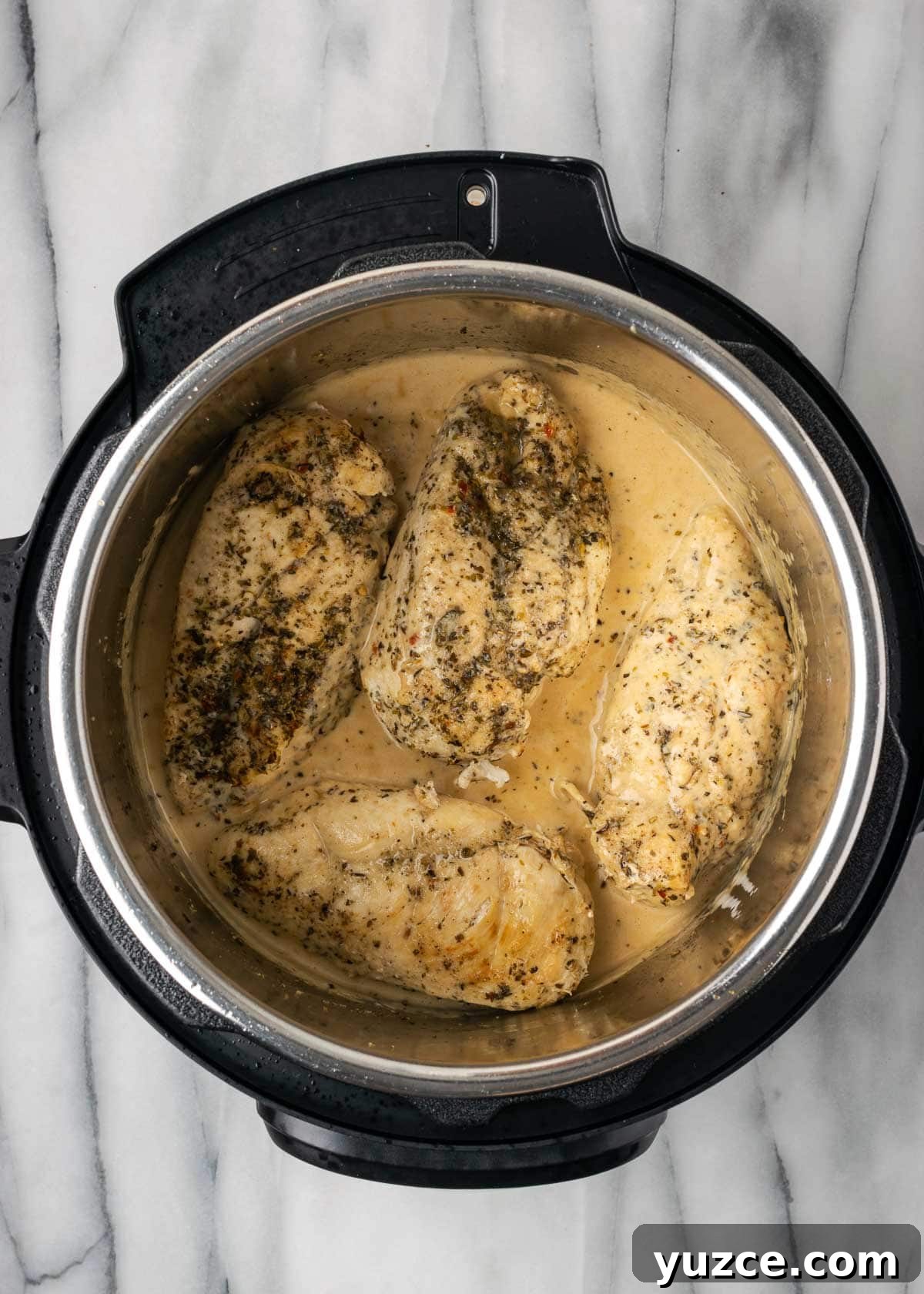 Juicy Instant Pot Chicken Breasts in 15 Minutes 12 chicken in instant pot