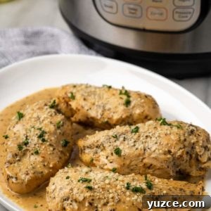 Juicy Instant Pot Chicken Breasts in 15 Minutes 16 tender instant pot chicken breast with a pan sauce on a plate with instant pot in background