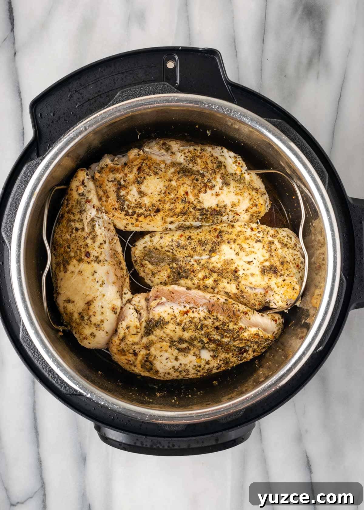 Juicy Instant Pot Chicken Breasts in 15 Minutes 8 seasoned chicken in instant pot