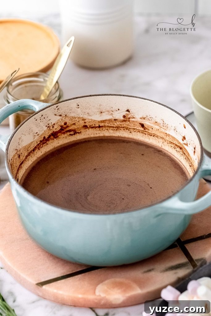 Gingerbread Hot Chocolate Recipe: Cozy Spiced Cocoa Guide 7 Homemade Hot Cocoa Recipe