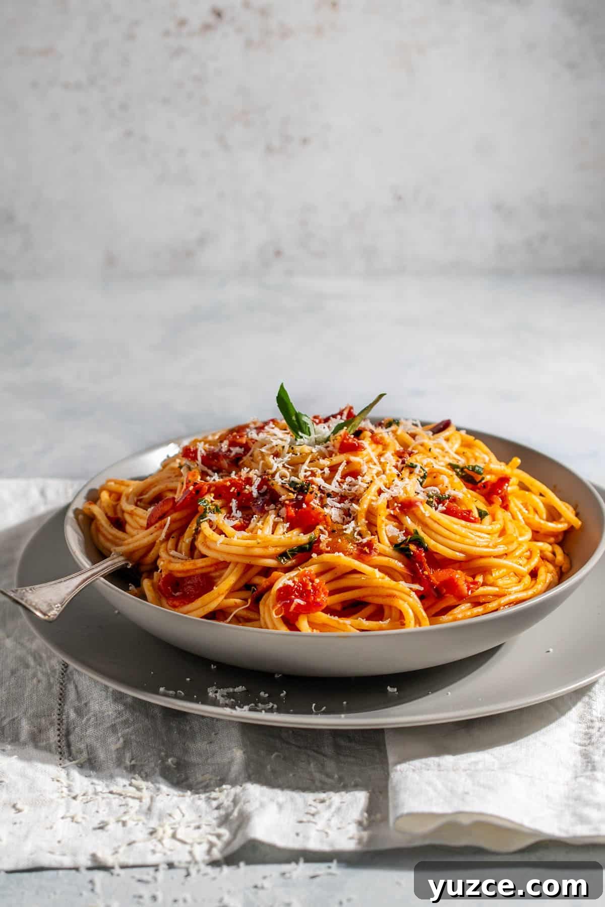 Spaghetti all’Arrabbiata Recipe: Spicy Tomato Pasta Guide 2 Spaghetti arrabiata in a grey bowl on a white napkin.