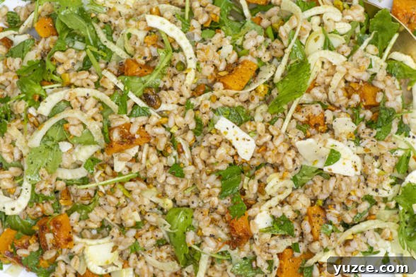 Farro Salad with Fennel and Roasted Butternut Squash Bowl 6 img 22734 5