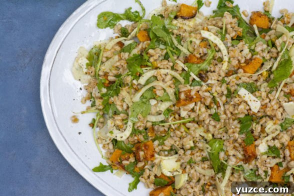 Farro Salad with Fennel and Roasted Butternut Squash Bowl 7 img 22734 6