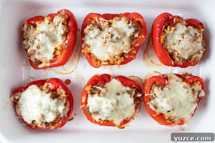 overhead horizontal view of six low carb Italian sausage stuffed peppers evenly spaced on a serving dish