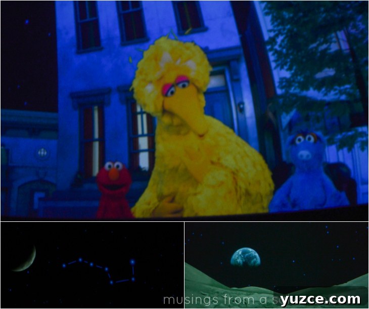 Inside Boston's Museum of Science: Exhibits, Tips & Highlights 12 Museum of Science Big Bird