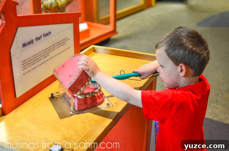 Inside Boston's Museum of Science: Exhibits, Tips & Highlights 15 Museum of Science kids