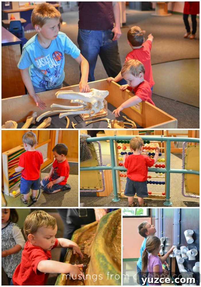 Inside Boston's Museum of Science: Exhibits, Tips & Highlights 4 MOS Discovery Center
