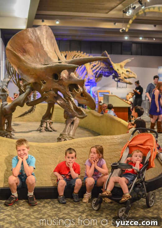 Museum of Science Kids Dinosaur