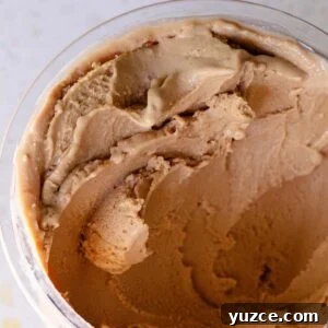 Chocolate Protein Ice Cream Made in the Ninja Creami 9 Chocolate Protein Ninja Creami ice cream