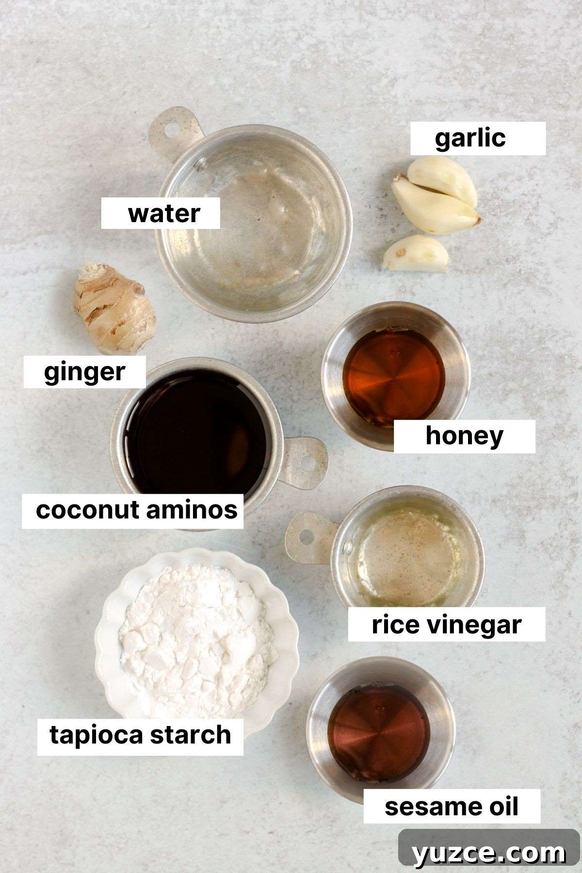 Soy-Free Teriyaki Sauce with Coconut Aminos — Quick Recipe 3 Labeled ingredients for soy-free teriyaki sauce.