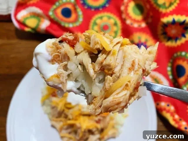 bite of chicken fajitas in instant pot