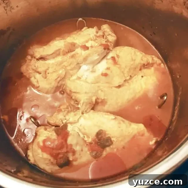 chicken in instant pot