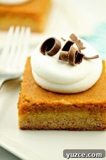 Shareable Holiday Pumpkin Butter Cake Recipe for Gatherings 2 img 2573 3