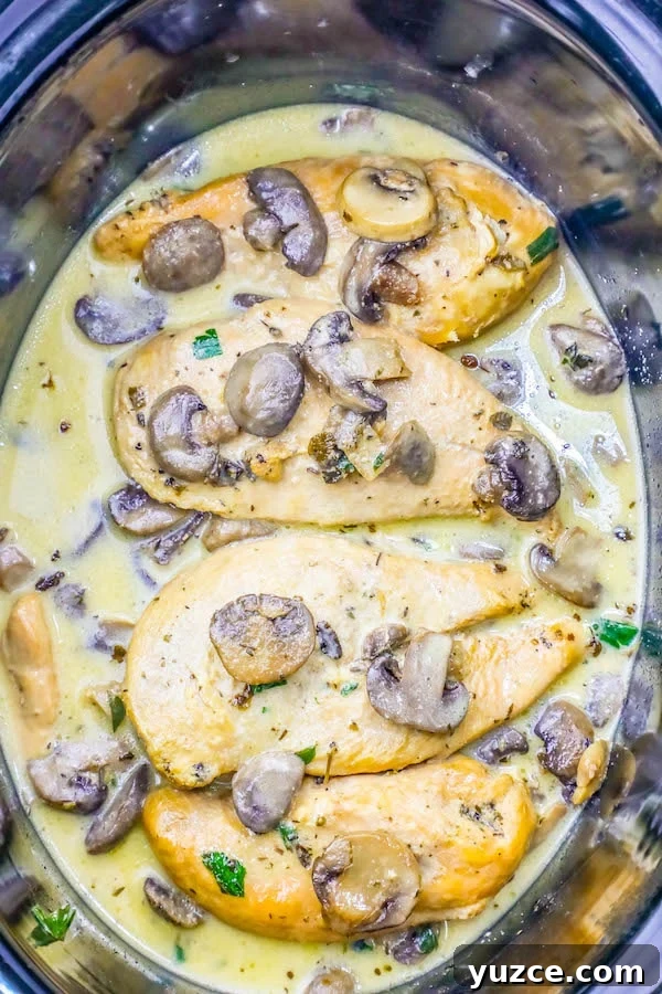Slow Cooker Creamy Chicken Marsala Recipe 2 img 25946 1