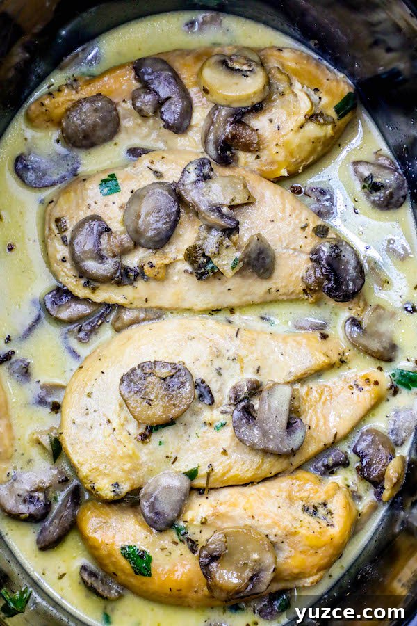 Slow Cooker Creamy Chicken Marsala Recipe 4 img 25946 11