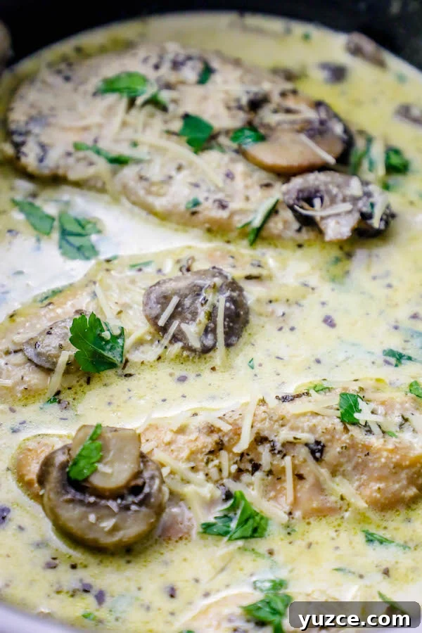 Slow Cooker Creamy Chicken Marsala Recipe 3 img 25946 2