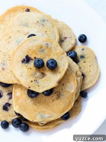 Whole wheat blueberry pancakes topped with fresh blueberries.