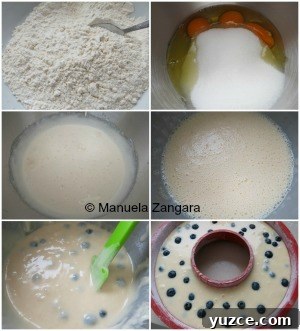 Blueberry Limoncello Yogurt Ciambellone Cake Recipe 4 img 26351 4