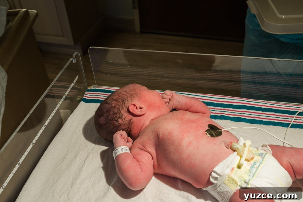 Welcome to the World, Baby Finnegan: Introducing Your Newborn 17 finnegan charles birth day web-13