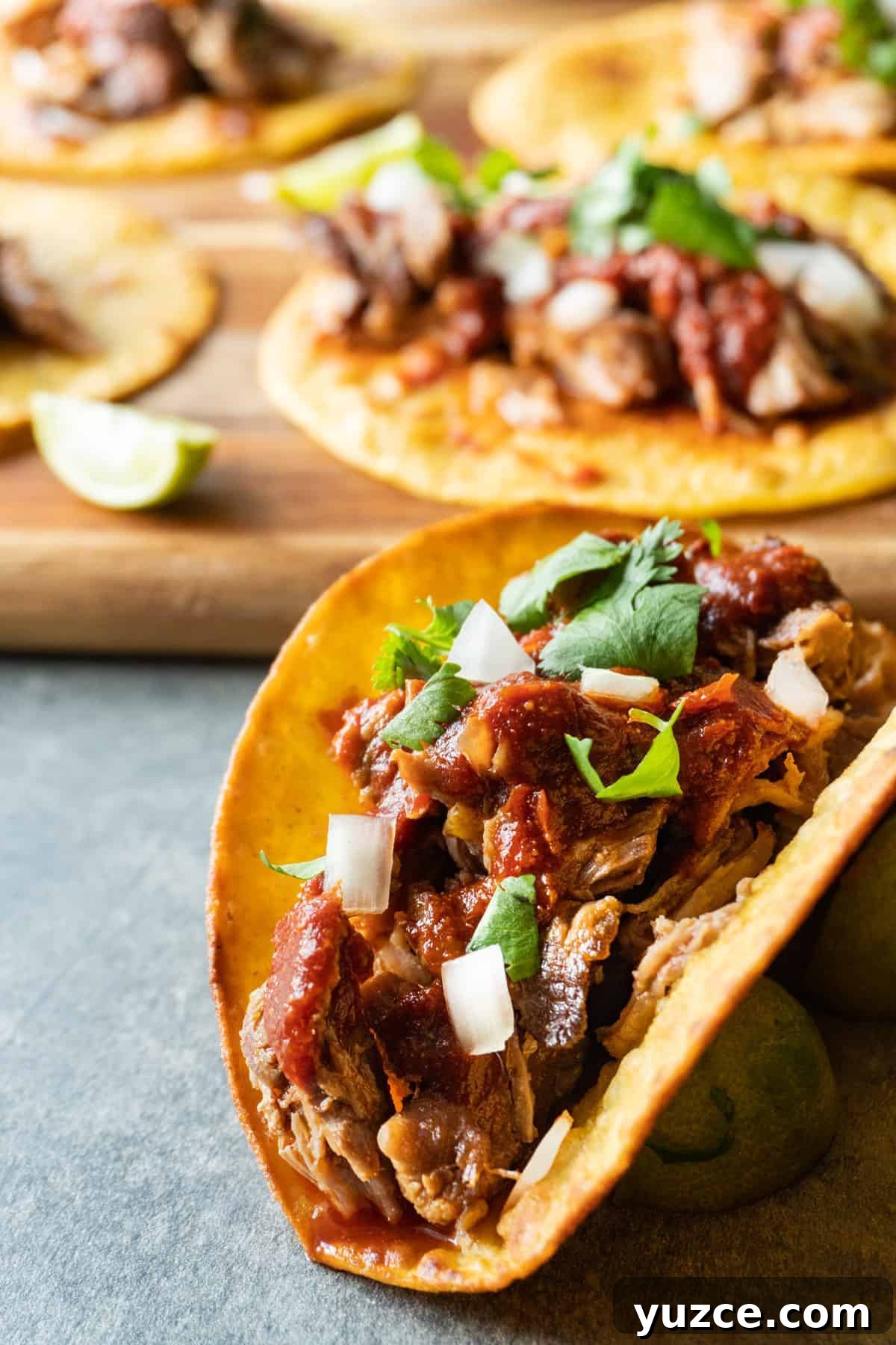 Authentic Pork Carnitas Street Tacos Recipe 2 Carnita Taco Close Up