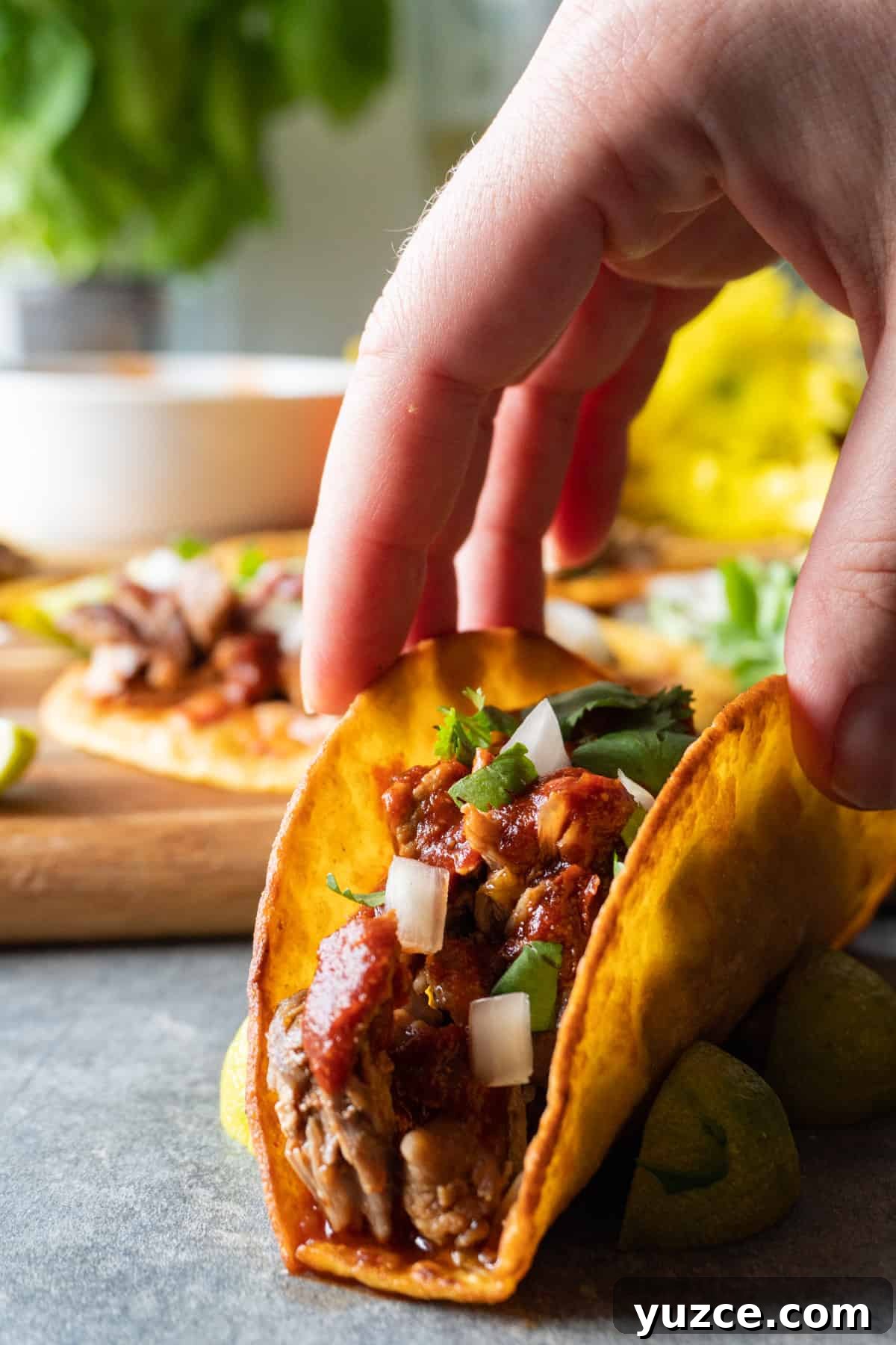 Authentic Pork Carnitas Street Tacos Recipe 12 Carnita Taco topped with red chile sauce, onion, and cilantro, is being grabbed.