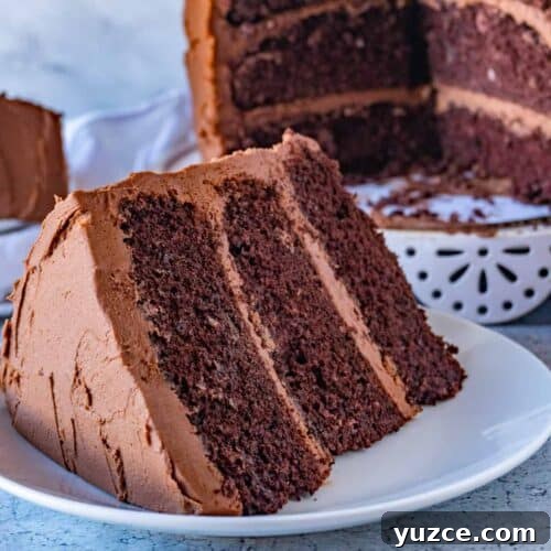 Chocolate Cake Featured image