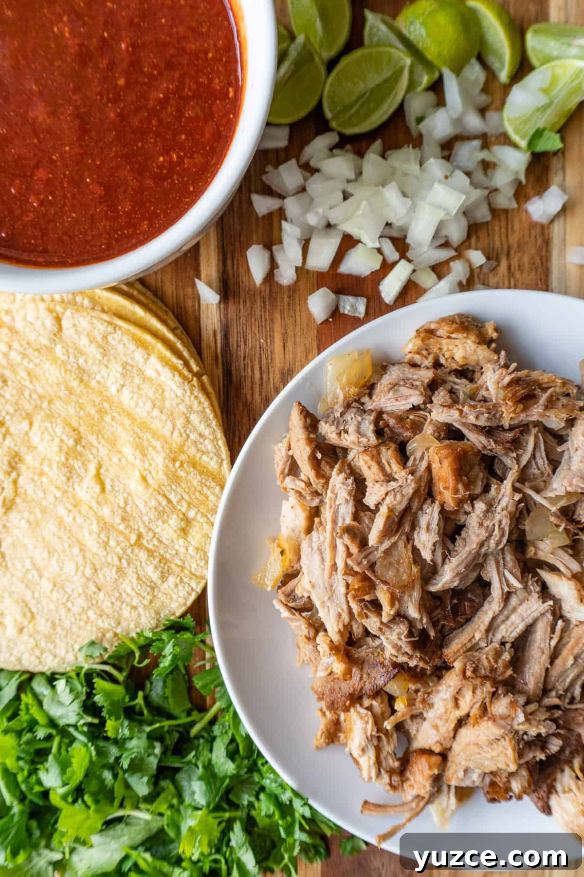 Authentic Pork Carnitas Street Tacos Recipe 3 shredded pork carnitas on white plate next to corn tortillas, chopped onion, red chile sauce, and cilantro.