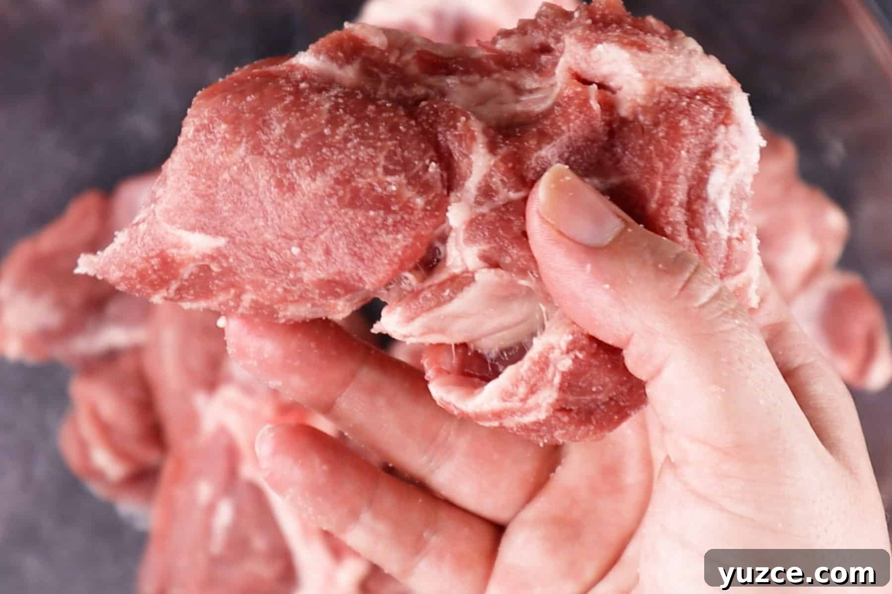 Authentic Pork Carnitas Street Tacos Recipe 5 holding a chunk of salted pork butt.