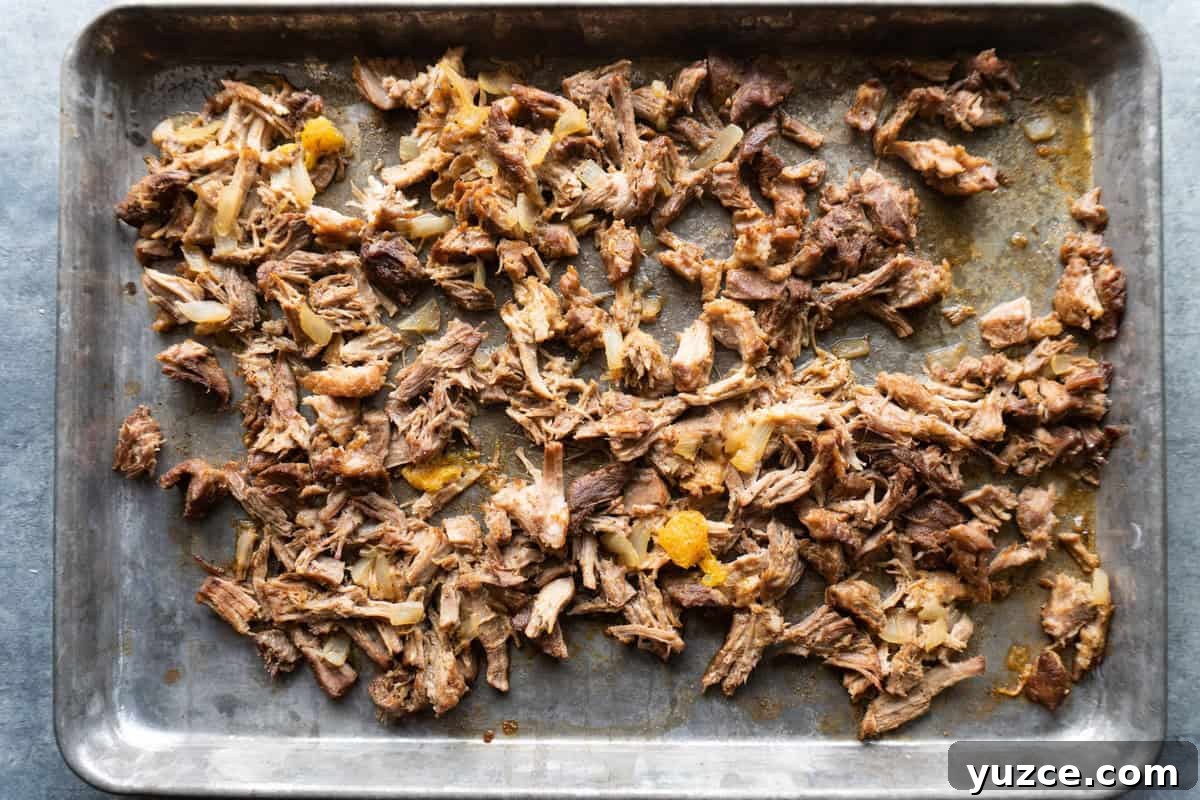 Authentic Pork Carnitas Street Tacos Recipe 9 shredded pork carnitas on a baking sheet.