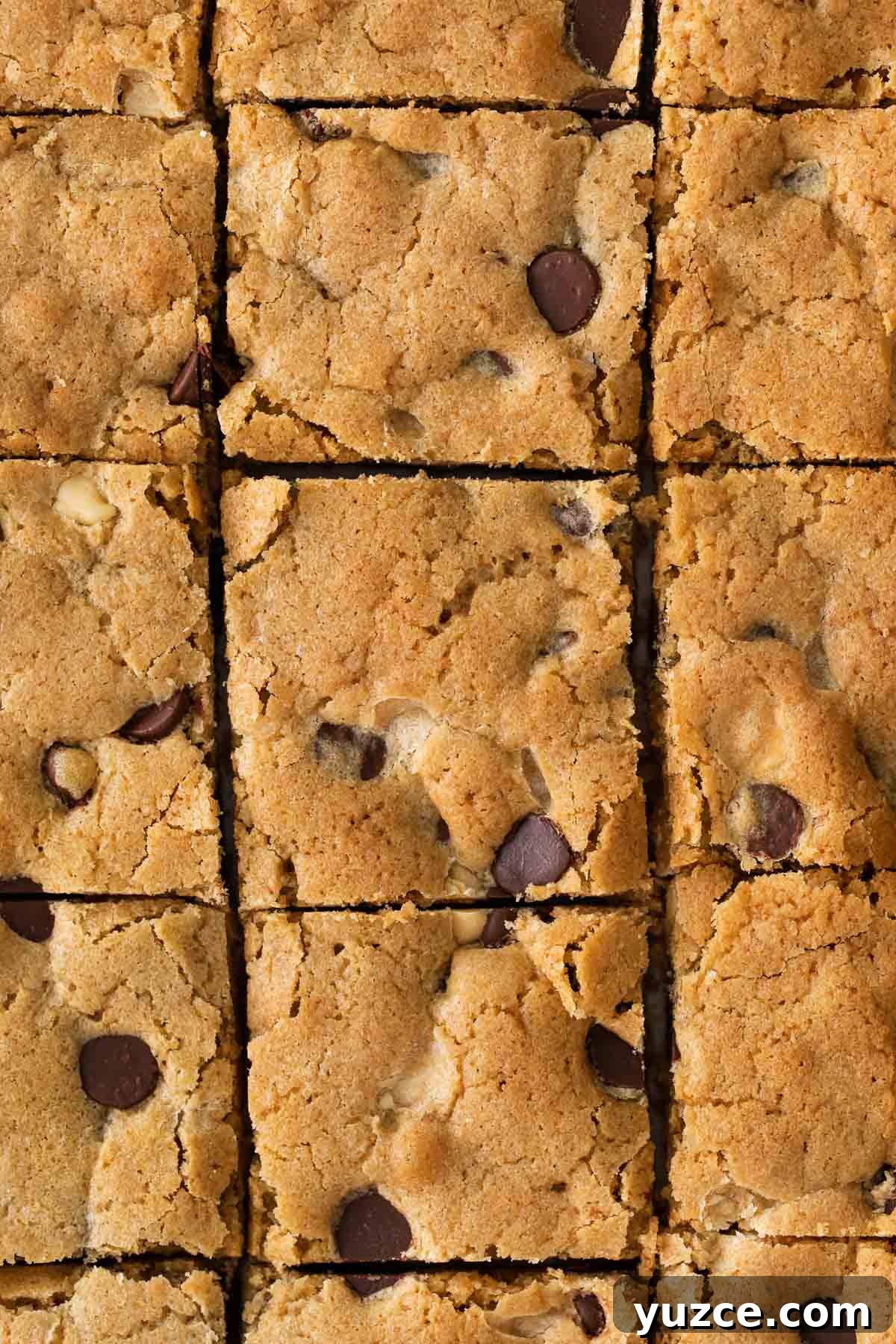 Gluten-Free Blondies Recipe: Chewy Vanilla Brownies 2 A close up of blondies sliced in a sheet pan