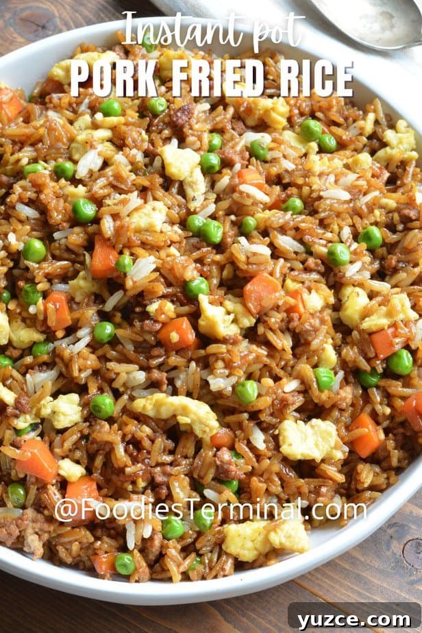 Authentic Chinese Pork Fried Rice Recipe for Perfect Takeout Flavor 4 pork fried rice in a white plate