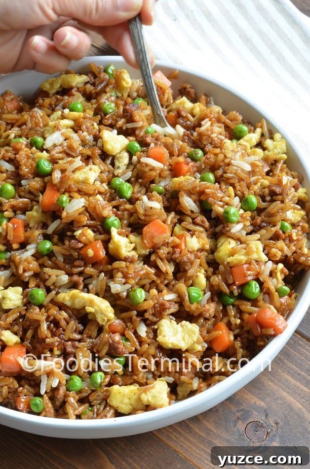 Authentic Chinese Pork Fried Rice Recipe for Perfect Takeout Flavor 9 authentic pork fried rice recipe