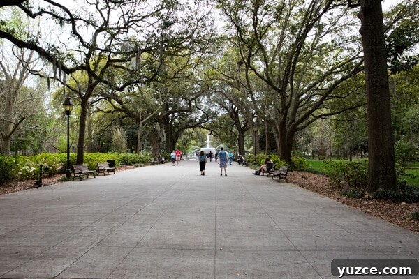 Top Things to Do in Savannah, Georgia — Guide to Must-See Sights 9 Forsyth Park Savannah