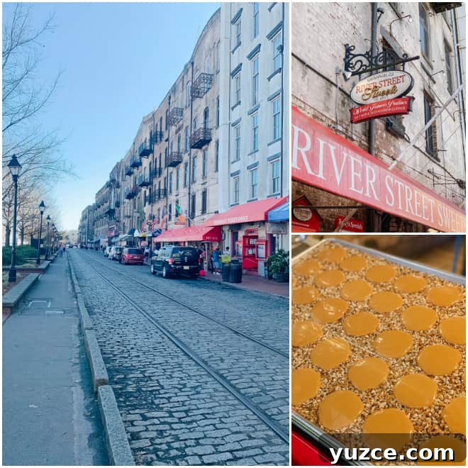 Top Things to Do in Savannah, Georgia — Guide to Must-See Sights 13 River Street Savannah Georgia