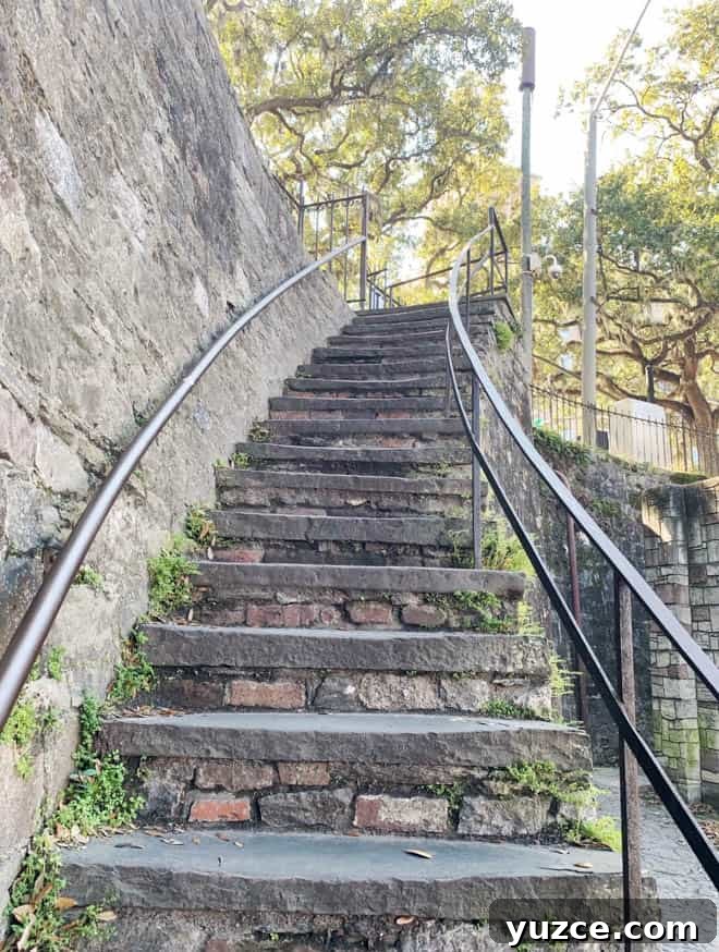 Top Things to Do in Savannah, Georgia — Guide to Must-See Sights 14 River Street stairs savannah