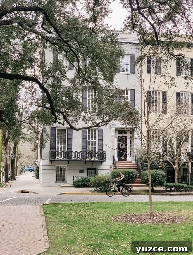 Top Things to Do in Savannah, Georgia — Guide to Must-See Sights 15 Explore savannah on bike