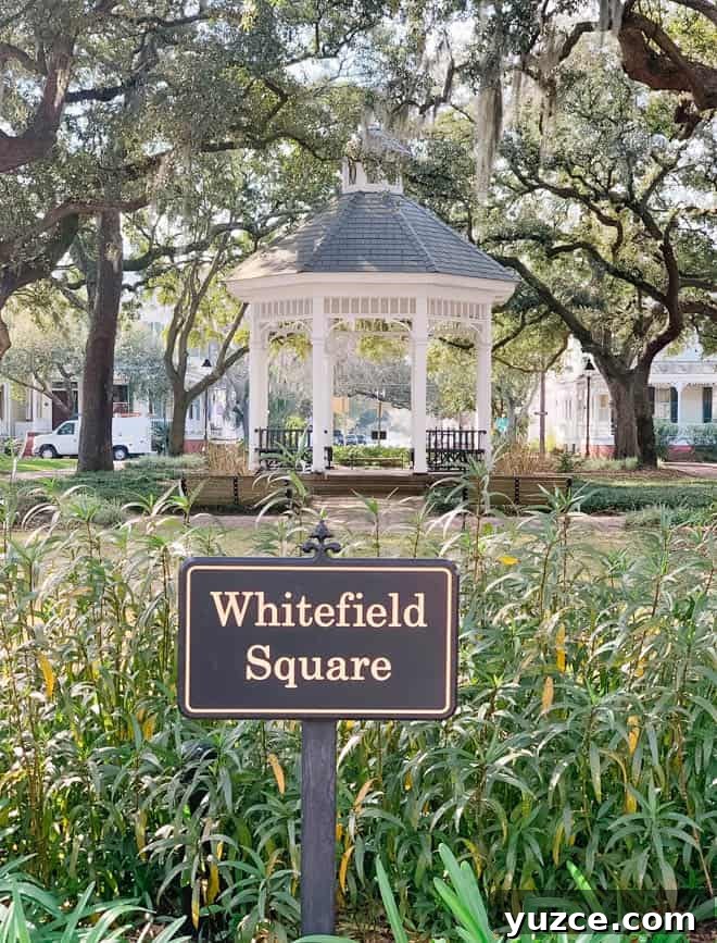 Top Things to Do in Savannah, Georgia — Guide to Must-See Sights 16 Whitefield Square Savannah georgia