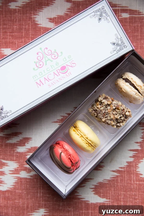Top Things to Do in Savannah, Georgia — Guide to Must-See Sights 7 Chocolat by Adam Turoni