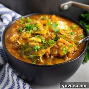 A black matte bowl full of cabbage roll soup topped with fresh chopped parsley with a spoon taking a scoop of the soup.