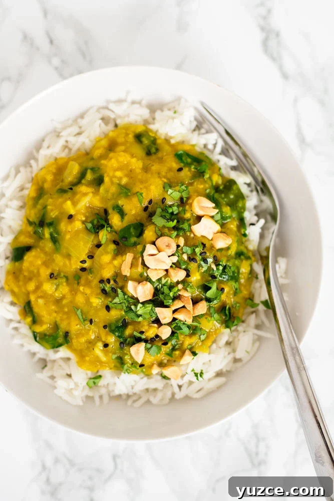 Creamy Red Lentil Curry Recipe with Coconut and Spices 2 A top down view of red lentil curry over basmati rice in a bowl.