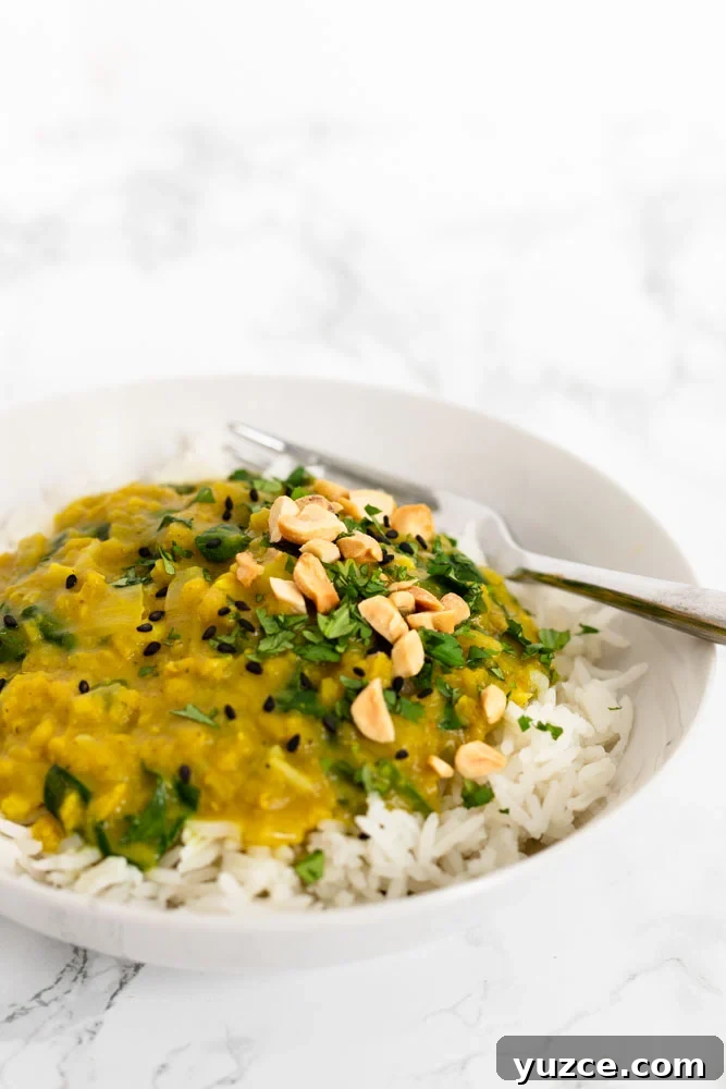Creamy Red Lentil Curry Recipe with Coconut and Spices 5 A bowl of red lentil curry topped with cilantro, chopped peanuts and sesame seeds.