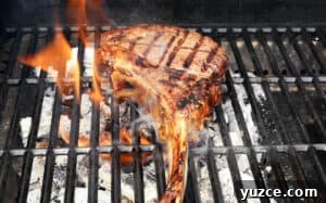 Perfect Reverse Sear Steak Technique for Tender, Crispy Results 19 img 29415 19