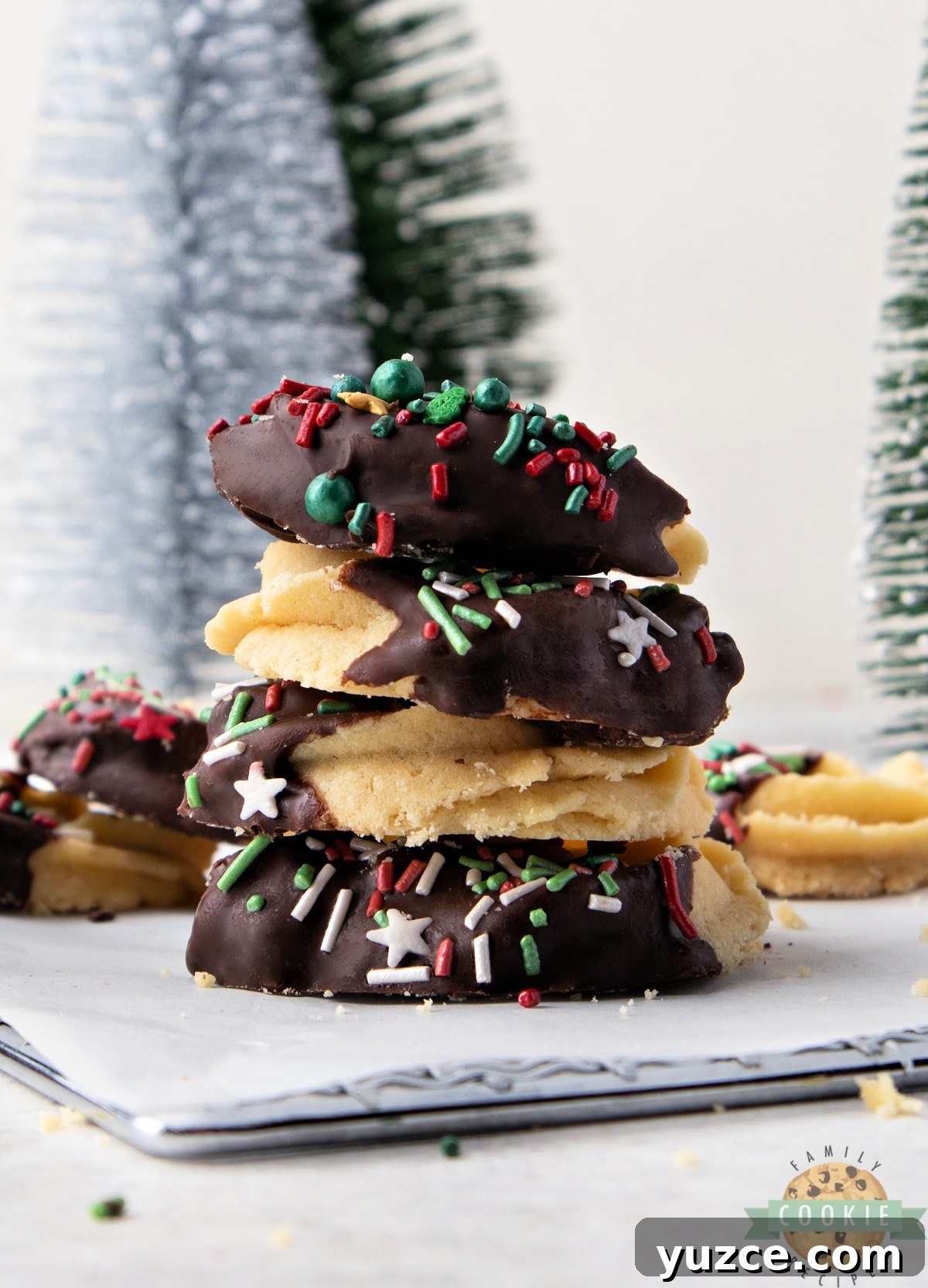 Butter cookie recipe dipped in chocolate.