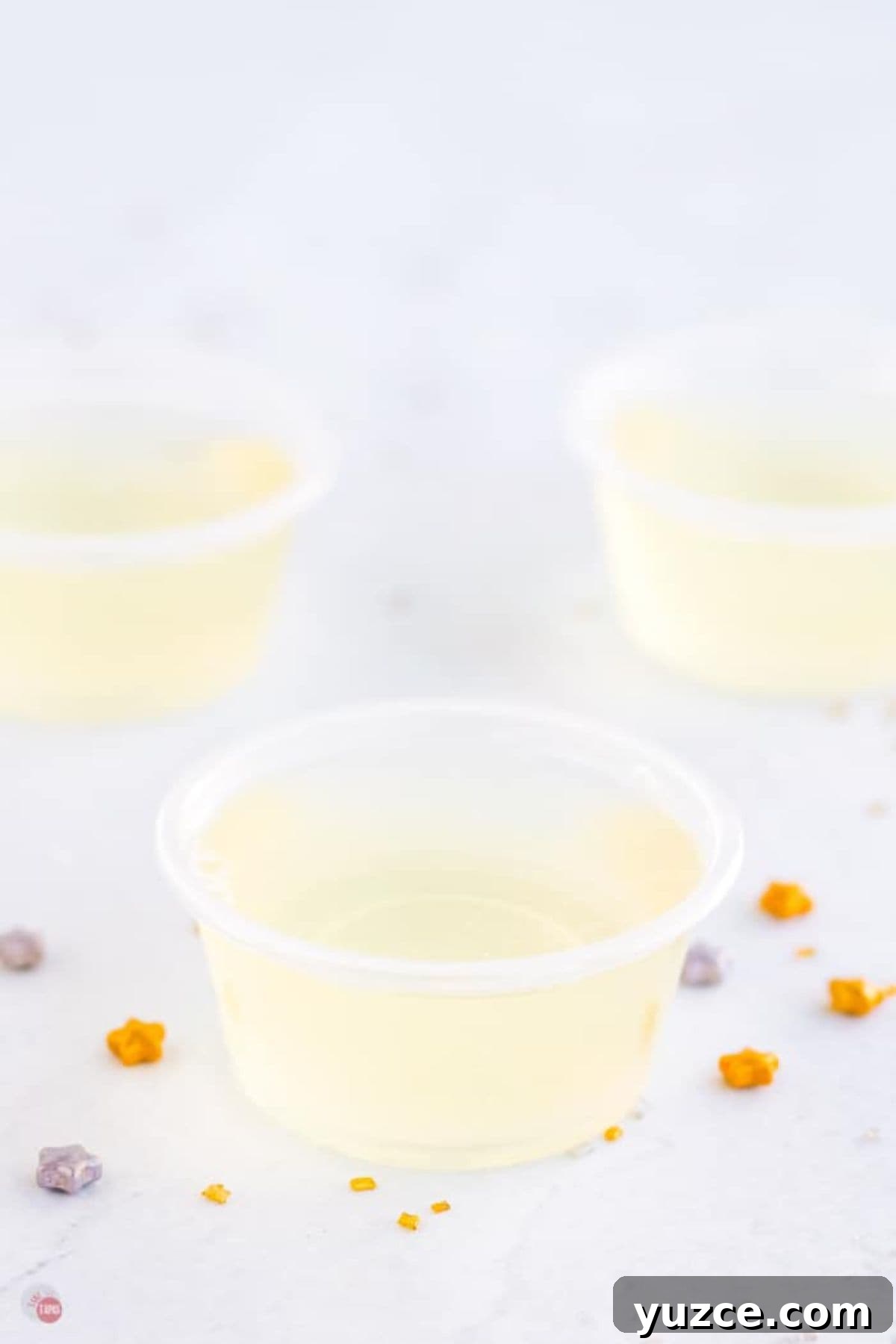 Champagne Jello Shots Recipe: Fizzy Party Cocktail Bites 5 jello in a small plastic cup