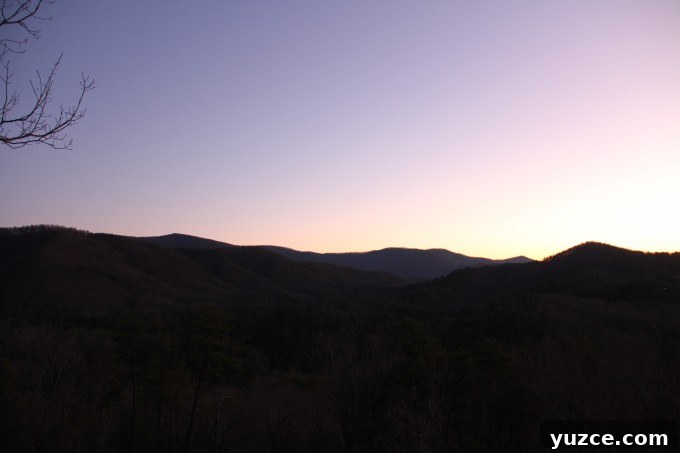 view img 3032 1