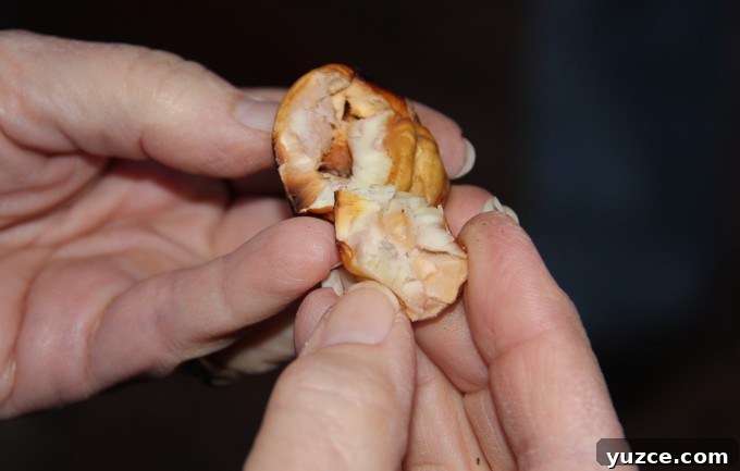 meatyinside img 3032 3