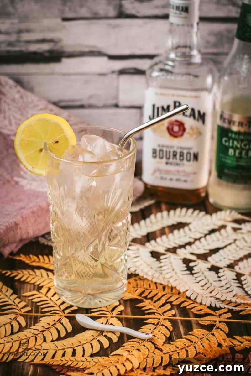 Classic Bourbon Highball Recipe: Refreshing Whiskey Cocktail Guide 2 Gorgeous Bourbon Highball cocktail, made with Bourbon and Ginger beer. Served with a lemon slice.